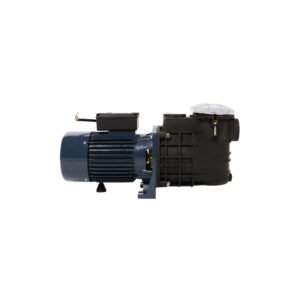 FCP - DAVE SWIMMING POOL PUMP-1