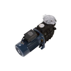 FCP - DAVE SWIMMING POOL PUMP-2